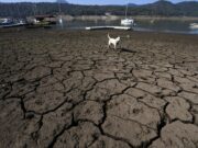Australia stoi w obliczu największego i najsuchszego w swojej historii zagrożenia pogodowego