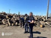 Skandal w Mikołajowie: nadpłata za drewno dla SZ Defencyjnych